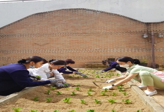 연수 텃밭가꾸기